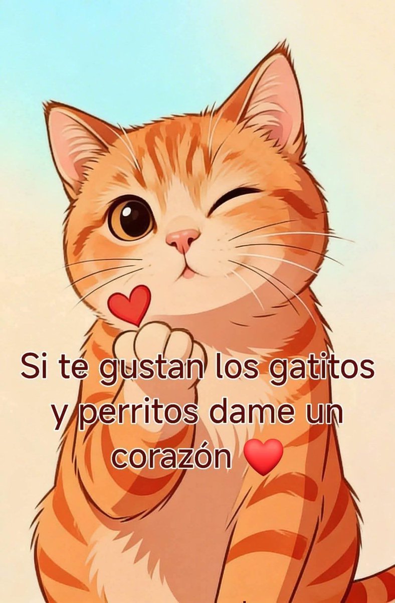 Manu Saenz💛💛 tweet media