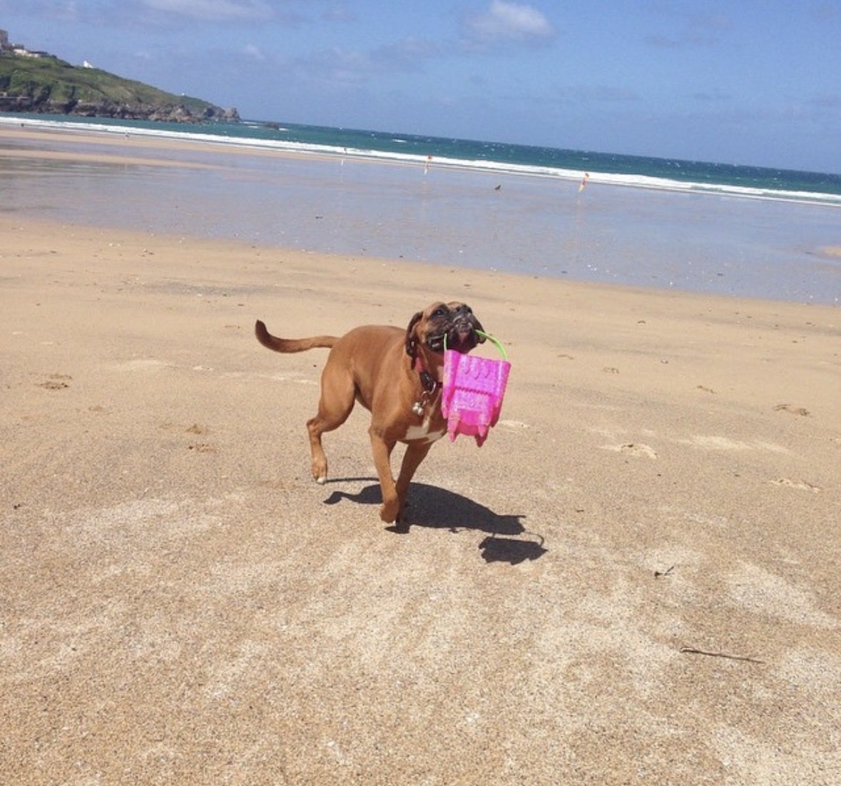 Tania Welch tweet media