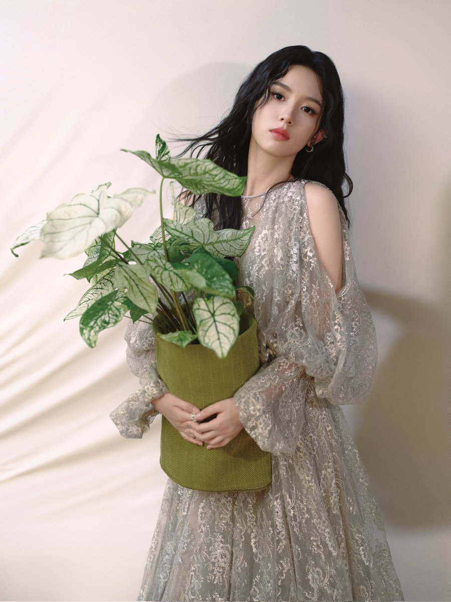 ️️️️️️ zoye. tweet media