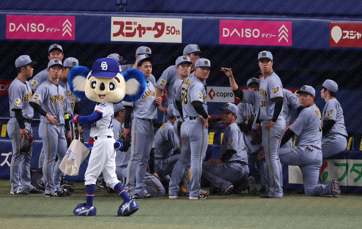 スポニチTIGERSフォト tweet media