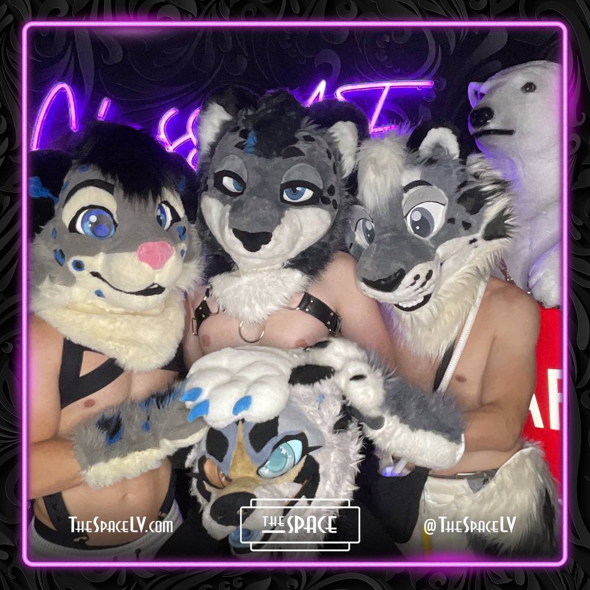 ❄️Selinar Snowcat❄️🔜LVFC tweet media