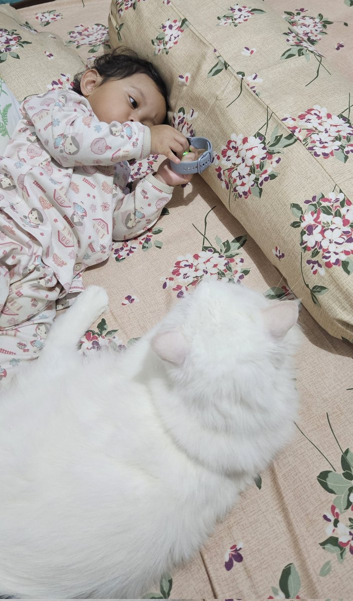 Dadang Sn(Owy) Gurniwa 🇵🇸 tweet media