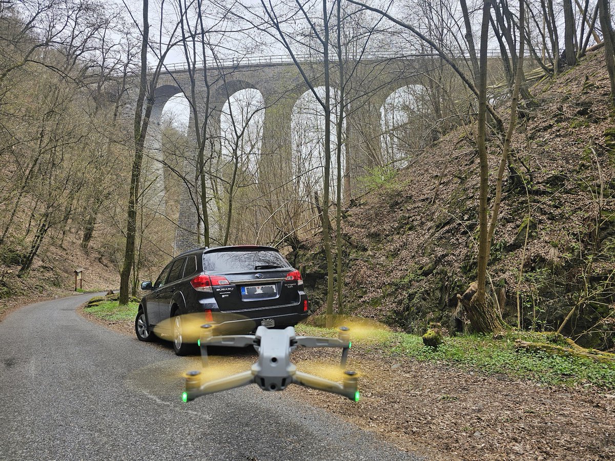 Modřanská kapybara tweet media