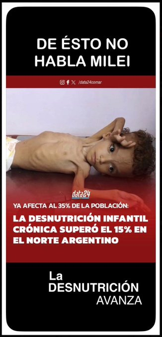 SILVIA PELLEGRINI 💛 😺 tweet media