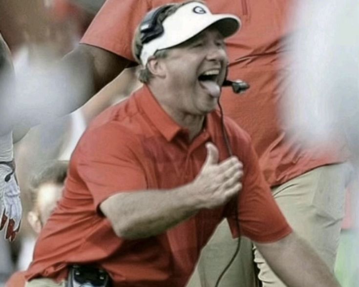 Buffbunny Collection tweet media