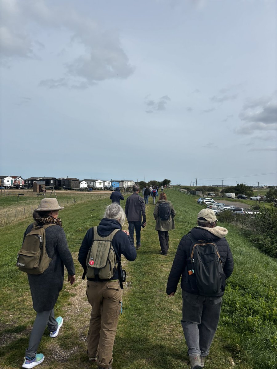 Birdwisenk's tweet photo. Our final guided walk of the week was at Seasalter and we were treated to 30 species including Raven and Red Kite 👏
Thanks to everyone who joined us today! More walks next week 🦆 https://t.co/ZdR1n1m4mw