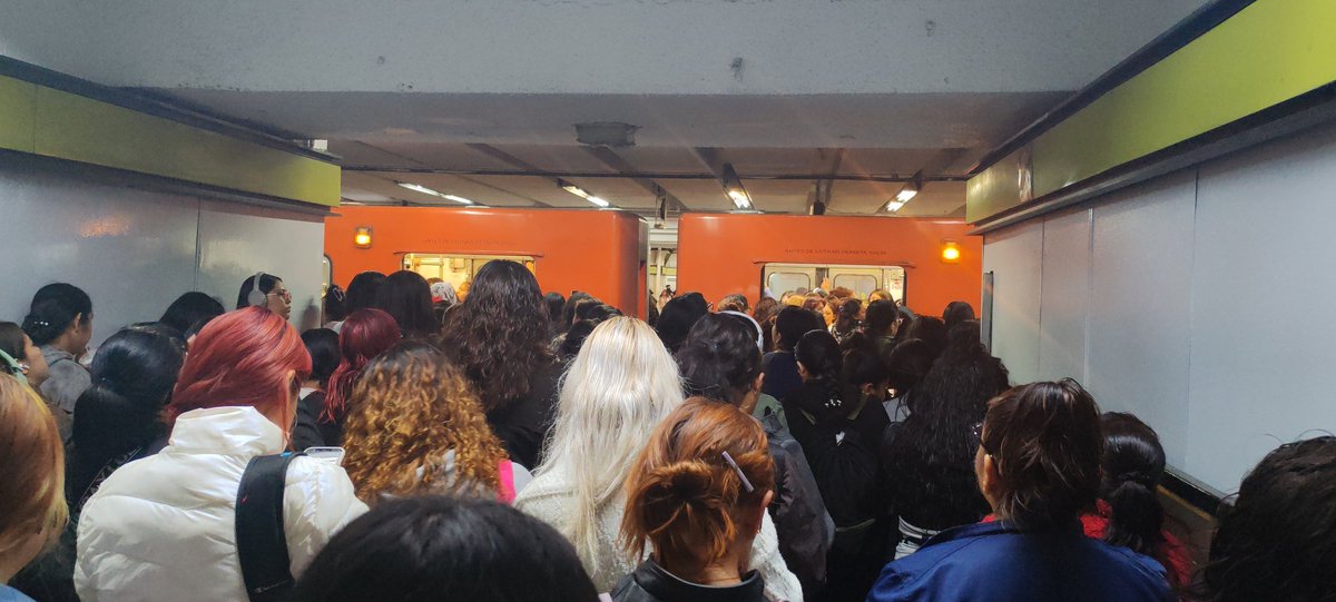 dianaevaladez's tweet photo. Otra vez colapsada la línea 3 del @MetroCDMX https://t.co/123QjXj1UK
