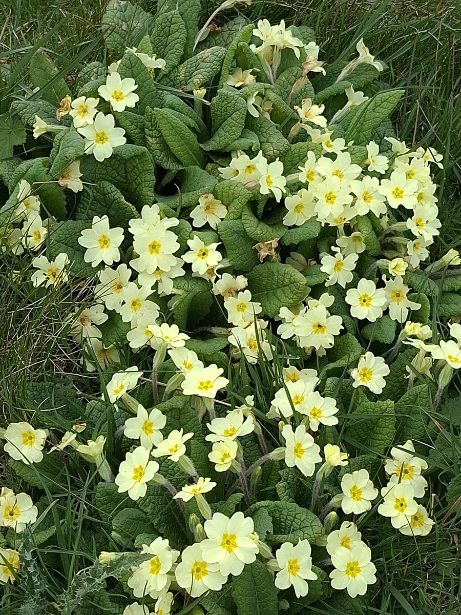 Lee Broughton tweet media