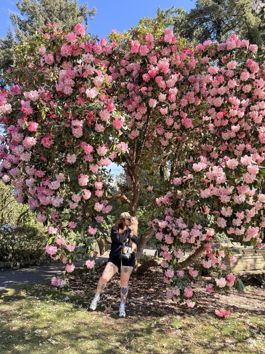 evilwomansinn's tweet photo. You’re sprung for Me aren’t you? 💐 https://t.co/K5LreSSTm4