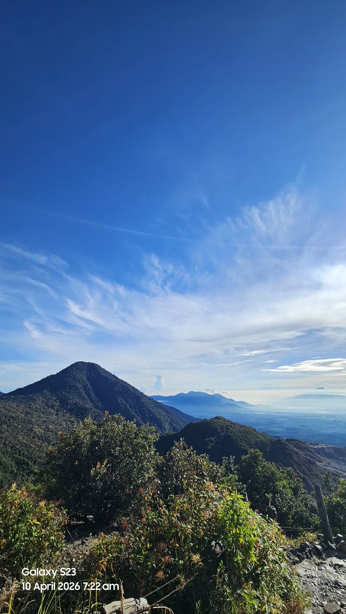 Zioo0 || manifesting for C6 Neuvillette tweet media