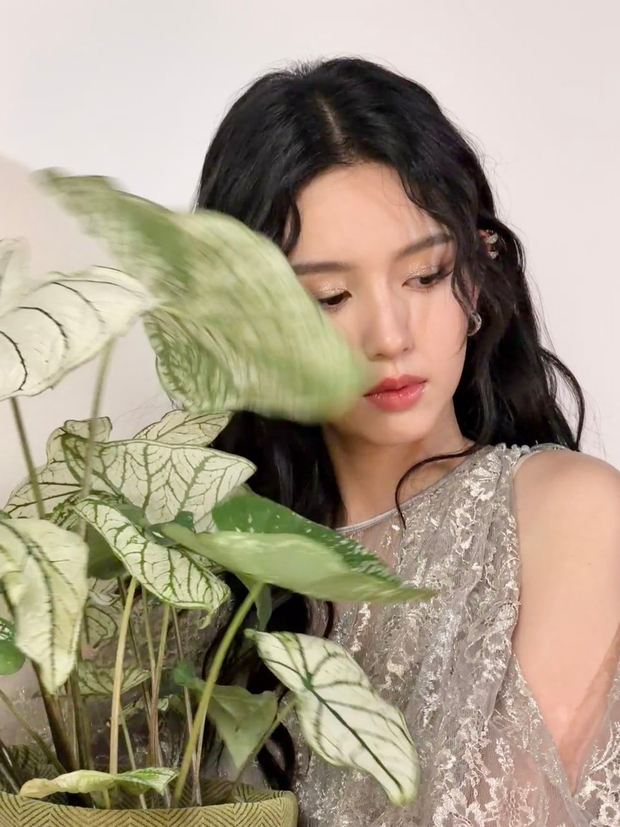 ️️️️️️ zoye. tweet media