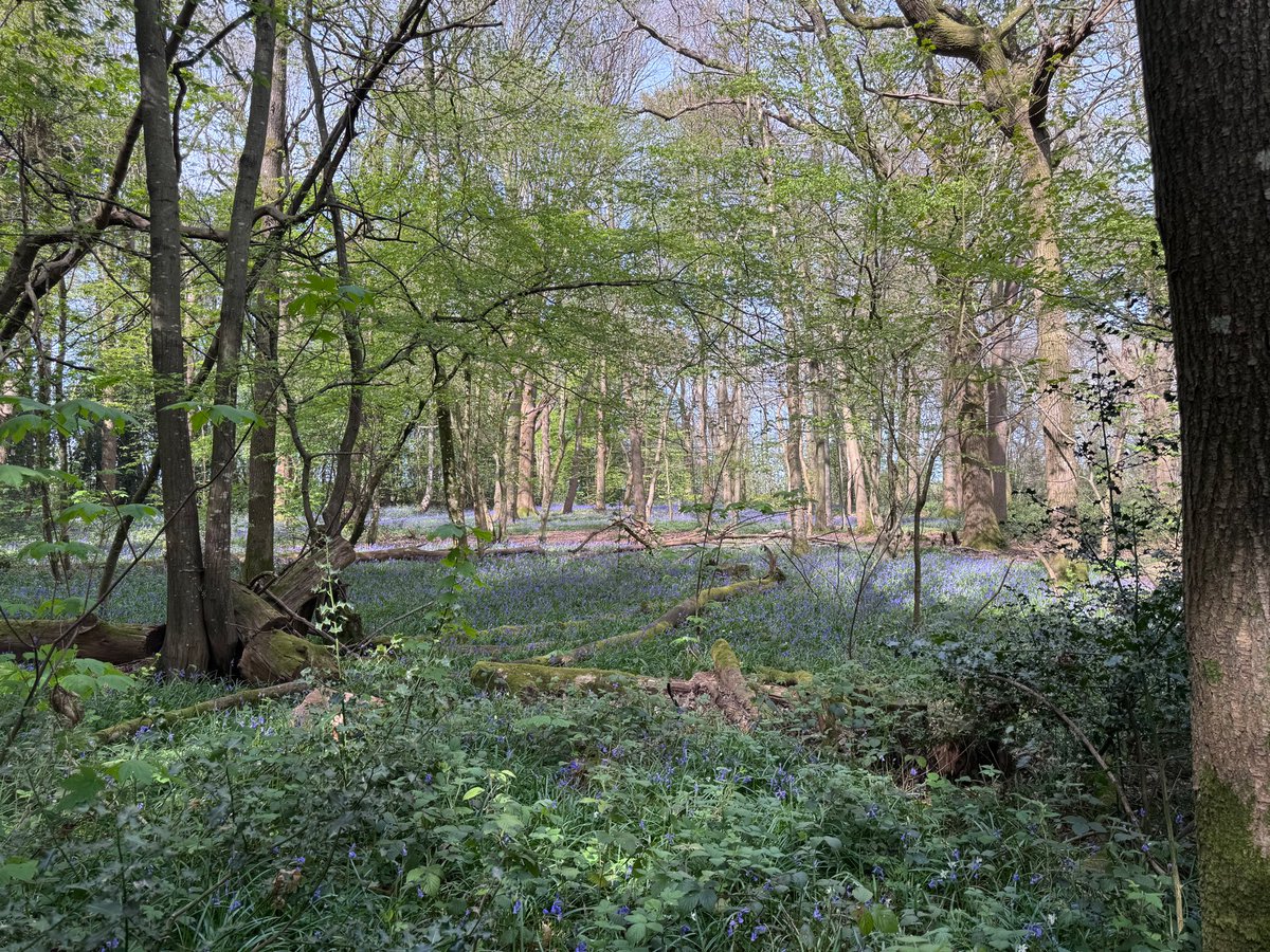 James Haddow tweet media