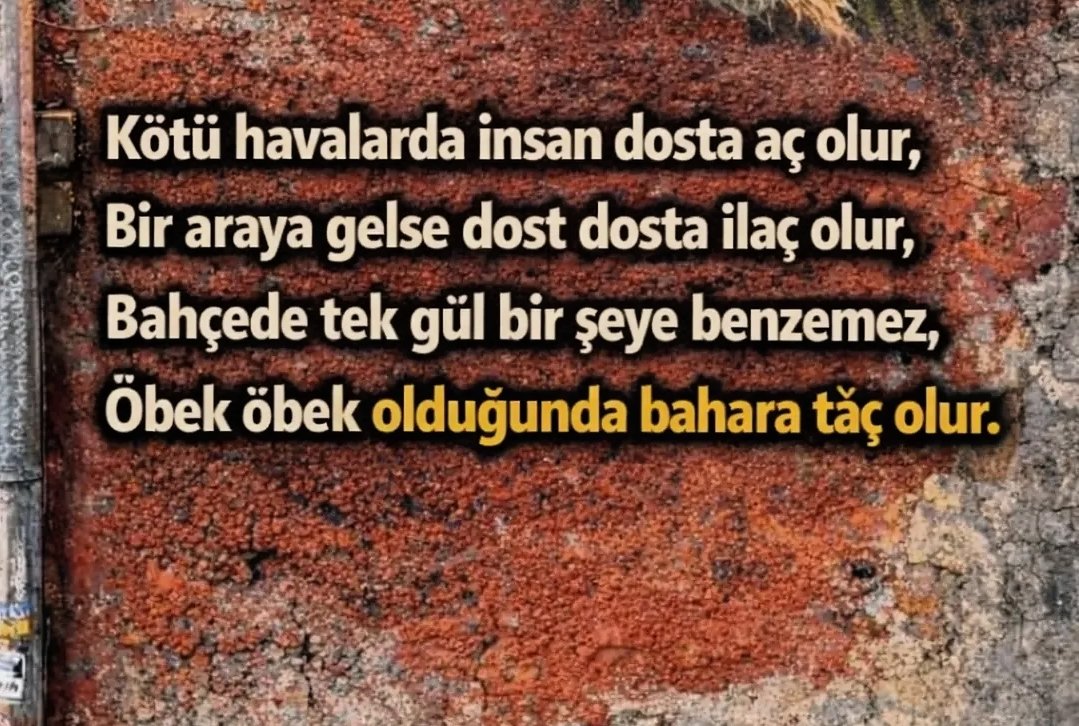 celal-aydoğdu06 (@celalaydgdu06) on Twitter photo 