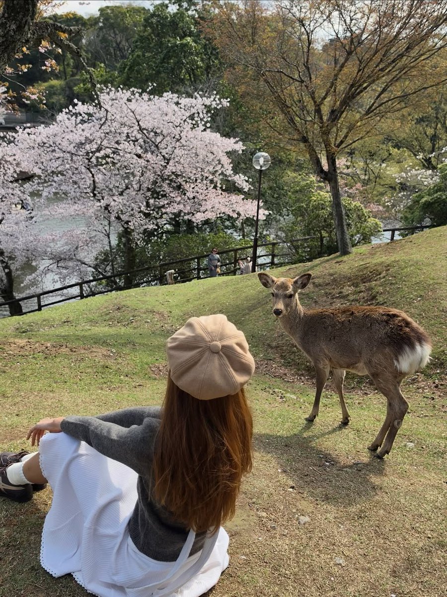 no na daily 🛼 tweet media