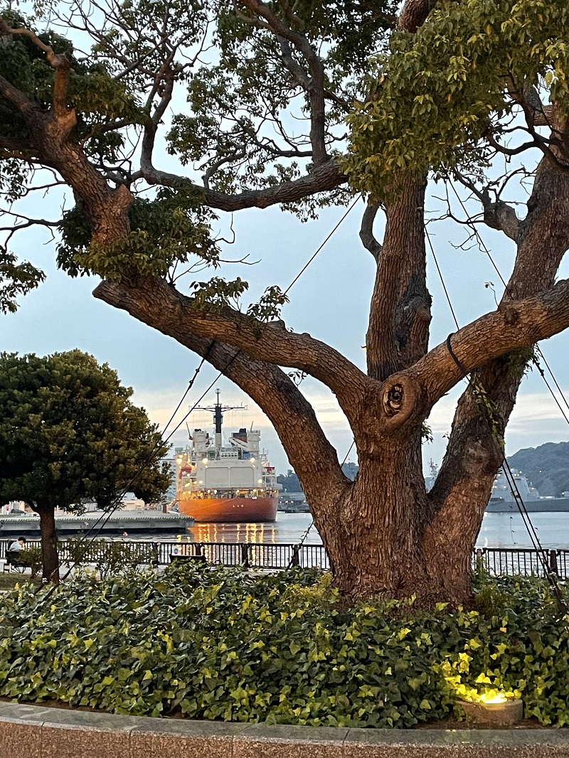 みやさかたかし tweet media