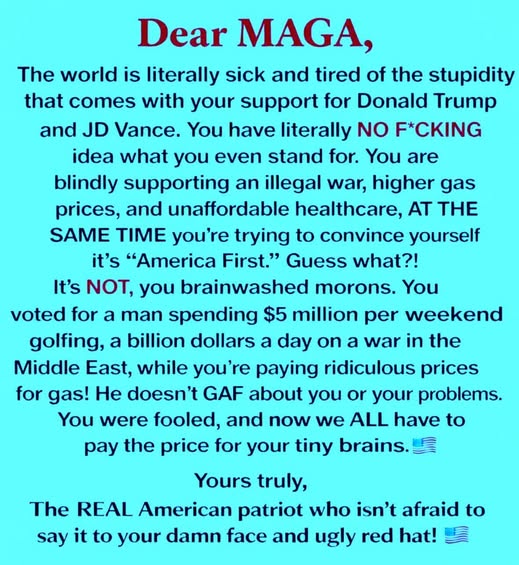 Scribbles McPensworth 🌊 tweet media