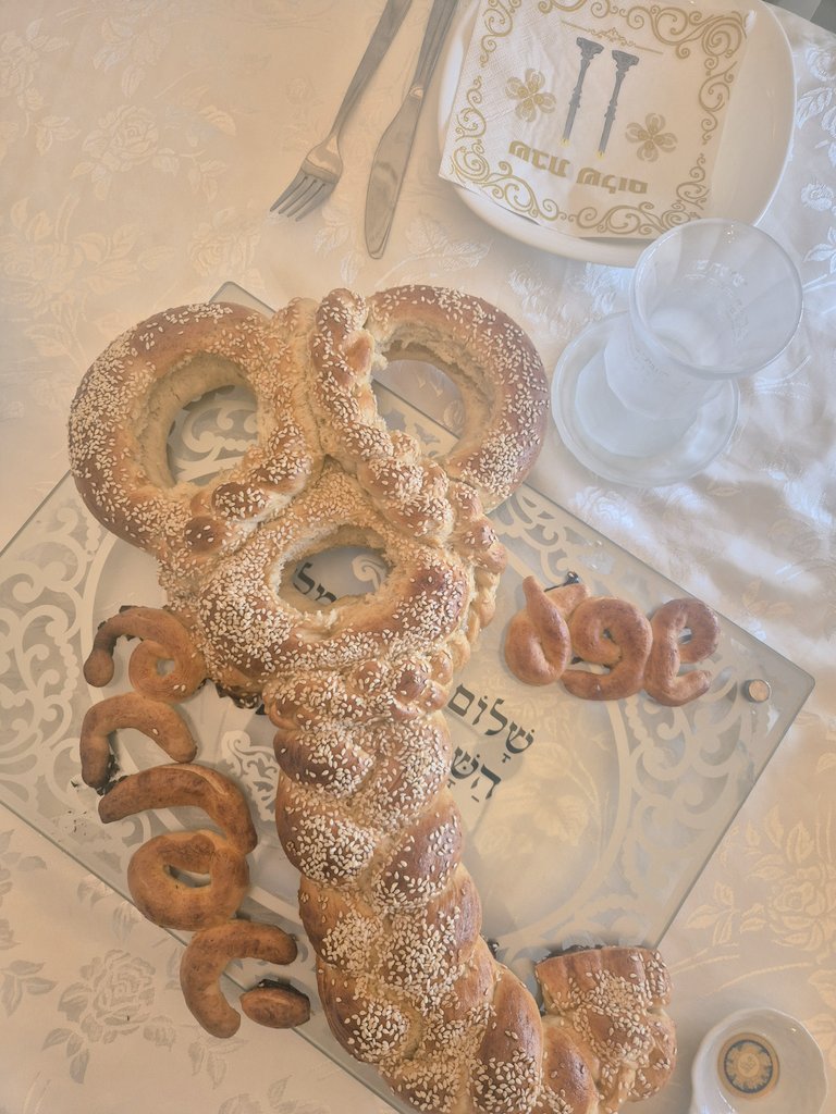 תולי כהן tweet media