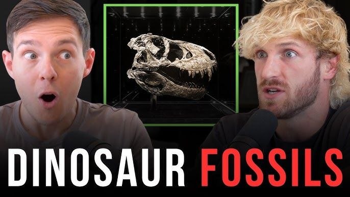 sora/ (blkn/acc) tweet media