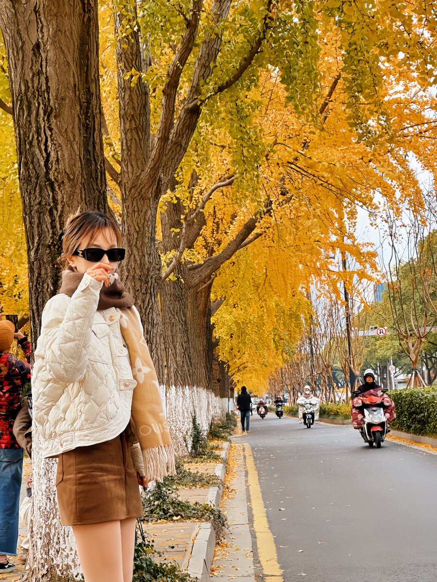 KZPhotography's tweet photo. Autumn breeze, golden leaves, and cozy sweaters—perfect for a walk that feels like a warm hug from the season. https://t.co/U6EuNNfnmA