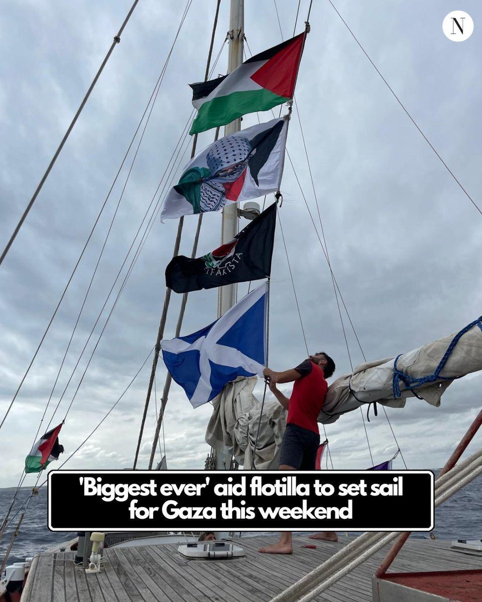 The National tweet media