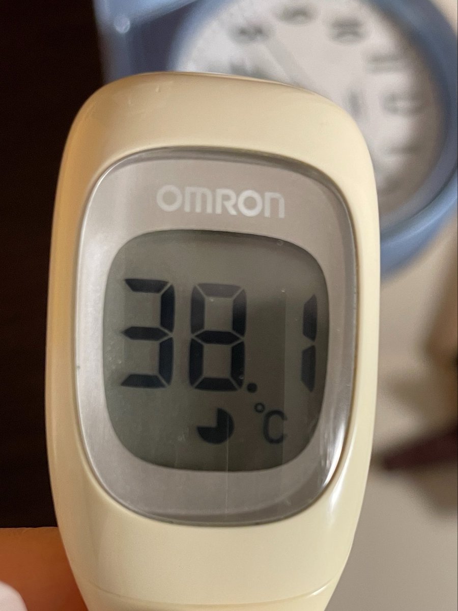 キク。BigBen831 tweet media