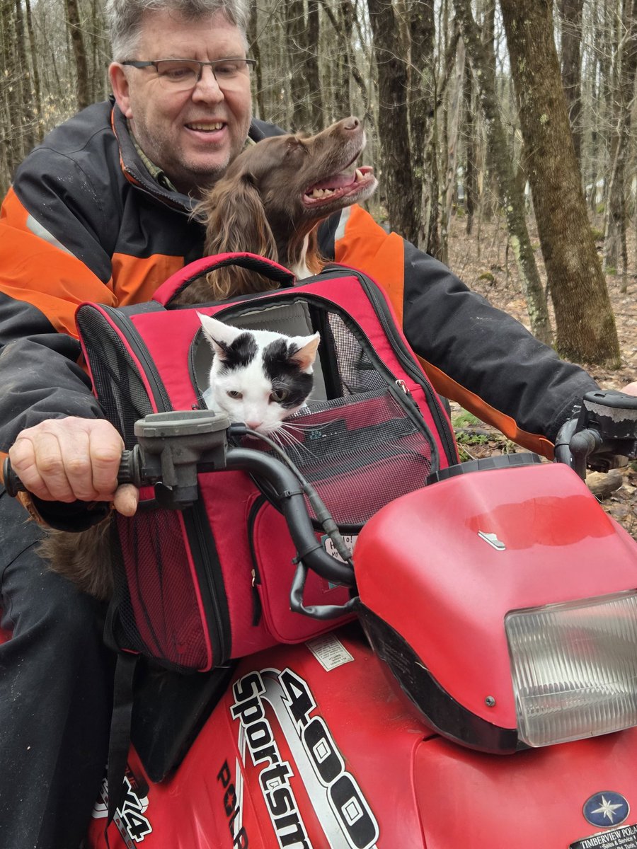 TheSprinklesCat's tweet image. I got my 1st hoodie on Easter! It is from the Star Wars Mandalorian. I am a junior bounty hunter! Hope mew have a purrfect #FelineFineFriday! #cowcat #CatsOfTwitterX #AdoptDontShop #StaySafeFurrends