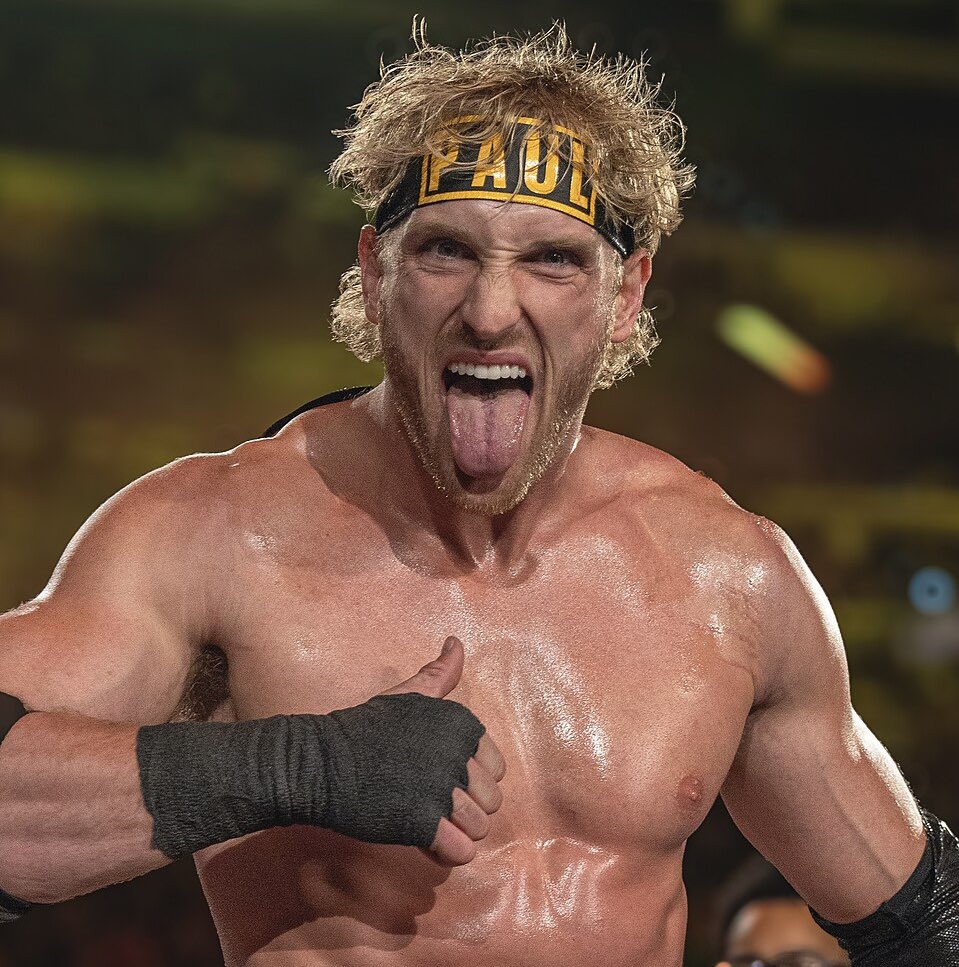 Red Panda Koala tweet media