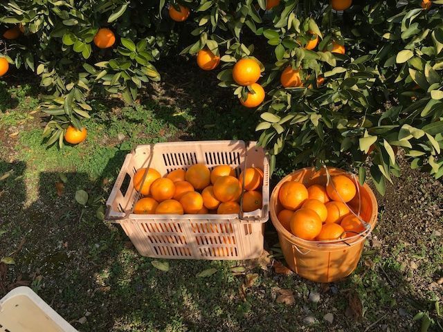 ⁿᵃᵐⁱ tweet media