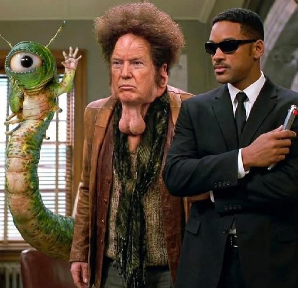 The Liquid Awesome tweet media