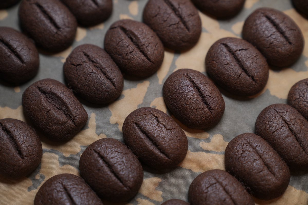 برهمندپور یک شکارچی tweet media