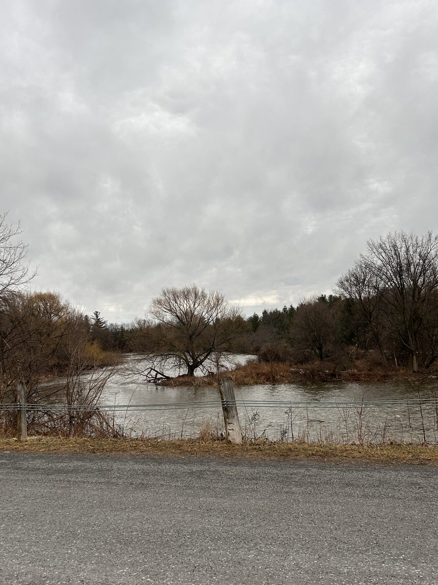 Fola 🇨🇦🇳🇬RN tweet media