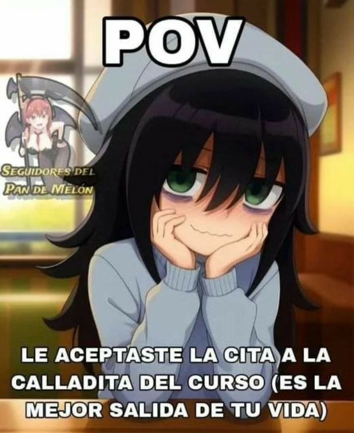 CABRITA 🐐🏳️‍⚧️ tweet media