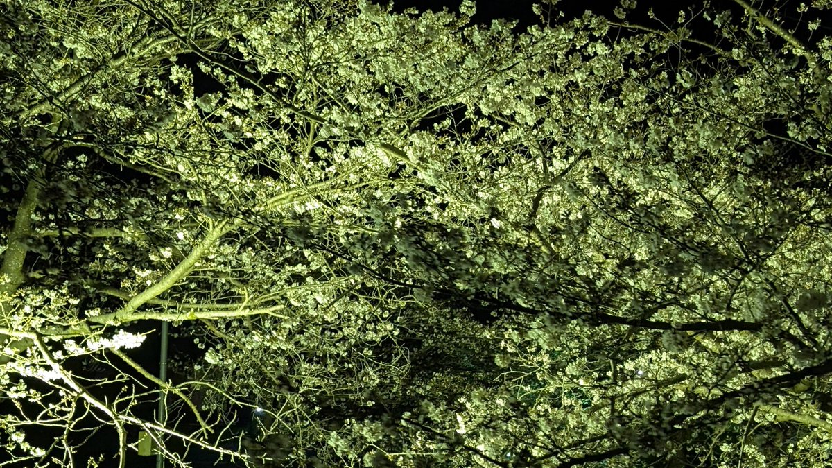 ゴウキ @WeaJ tweet media