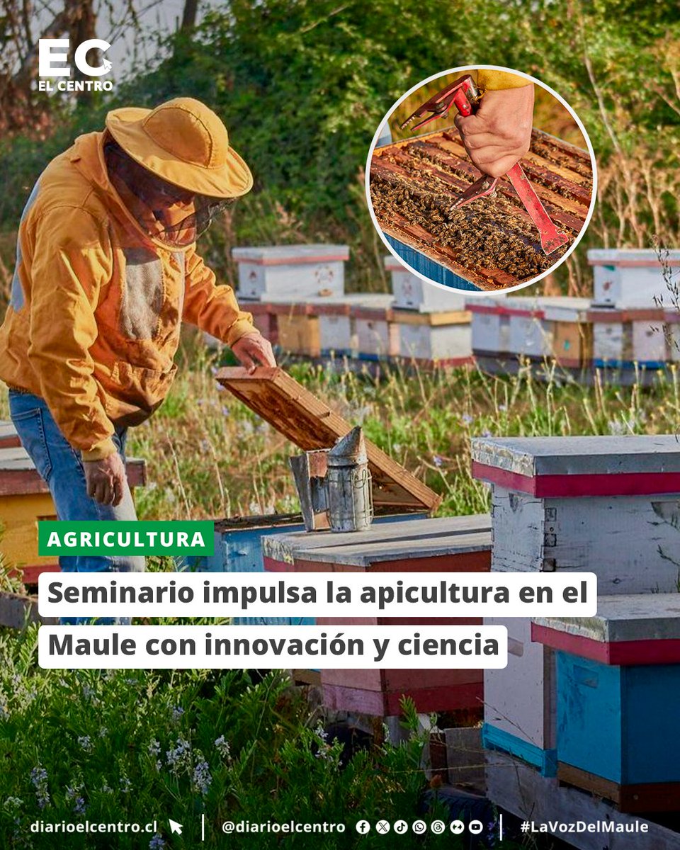 Diario El Centro tweet media