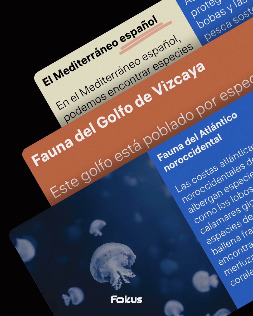 Студия Лебедева tweet media