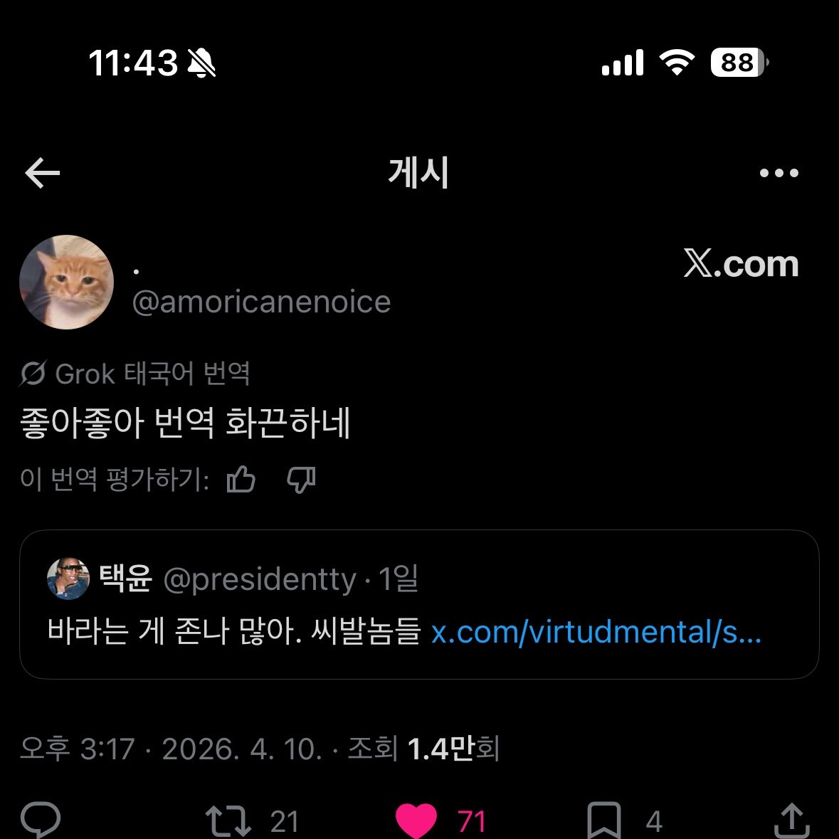 비둘기 tweet media