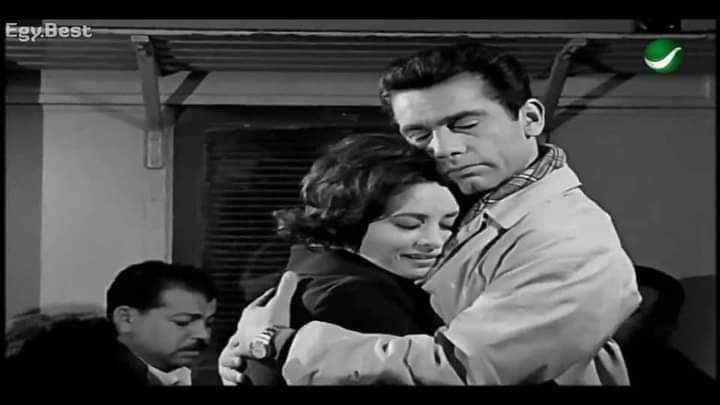 cinema lines tweet media