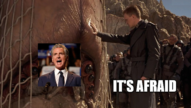 Bradley Scott tweet media