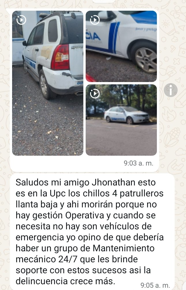 Jonnathan Carrera tweet media