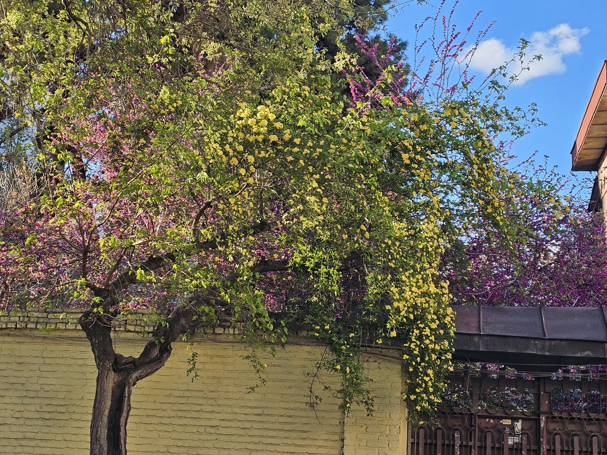 @ainos1268 tweet media