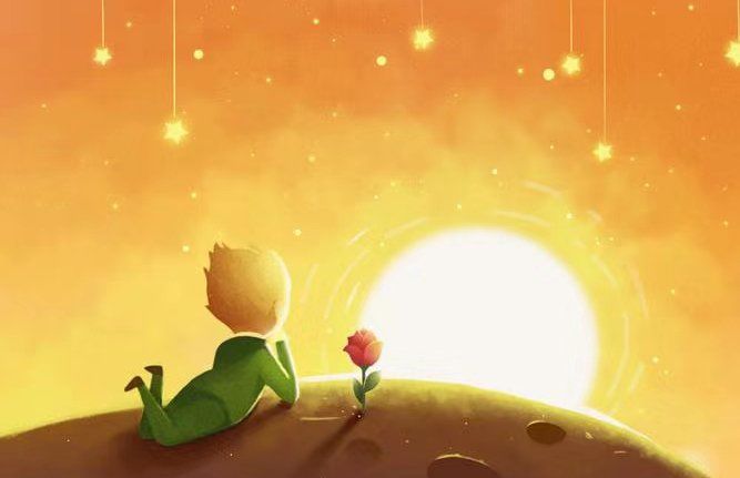 Pushpa809591702's tweet photo. " Dive into The Little Prince again—this time, notice the fox’s quiet wisdom. A 5-minute chapter a day keeps the overthinking away. What’s your go-to comfort read  #BookLovers #DailyPages" https://t.co/3P96CH2yGz