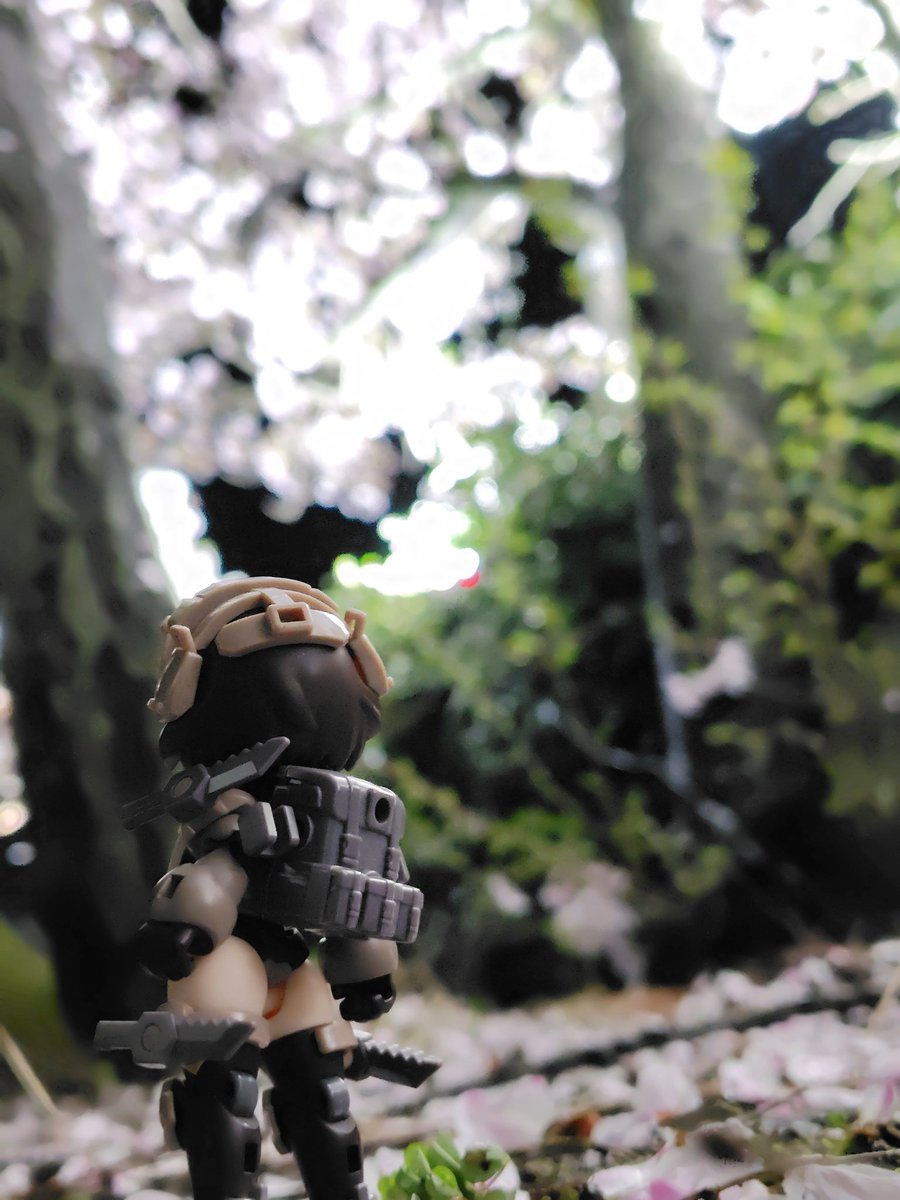 少し早めに切り上げられたので消灯寸前の夜桜へ
明日にはなんとか通常モードに戻れそう…