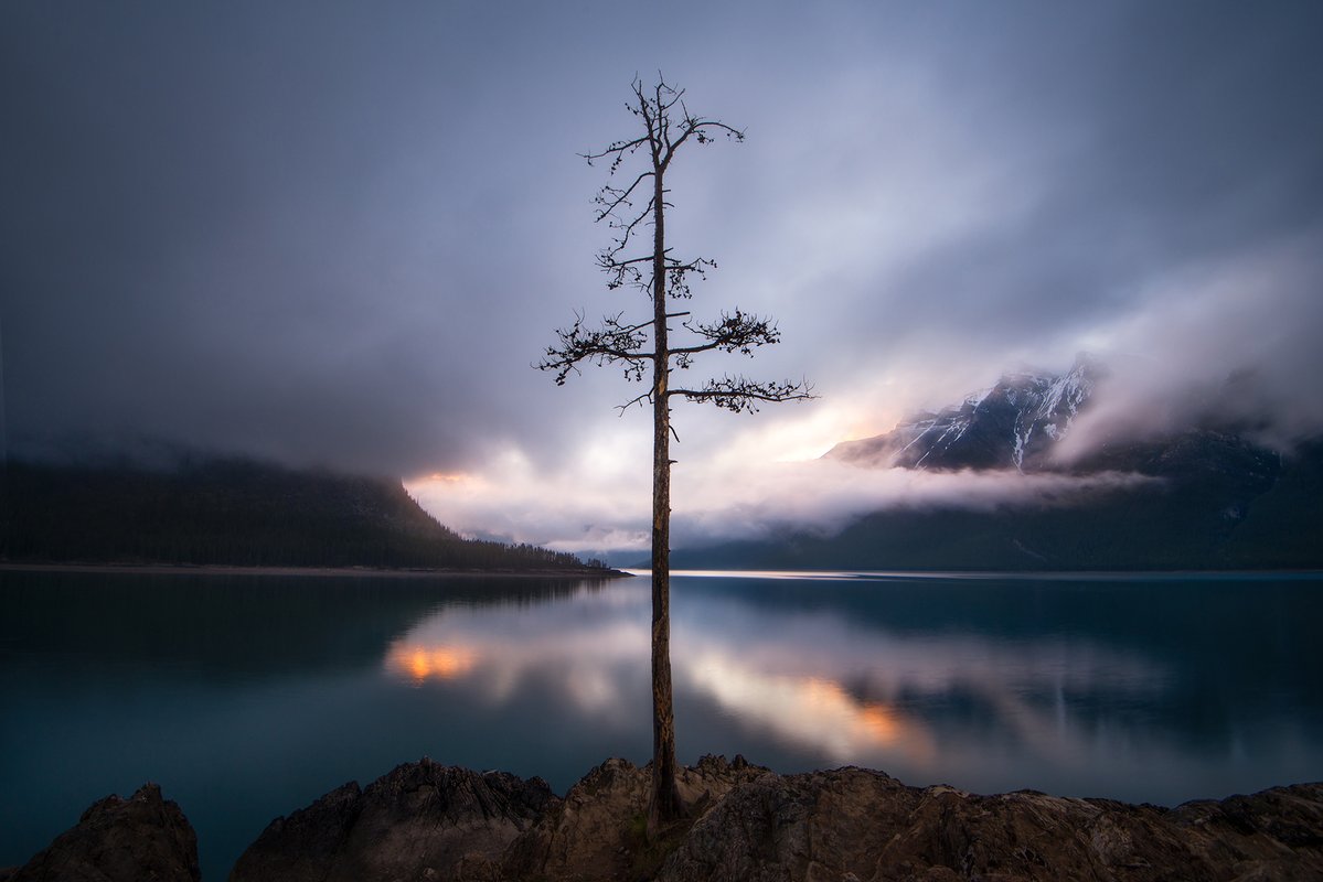 James Andrew tweet media