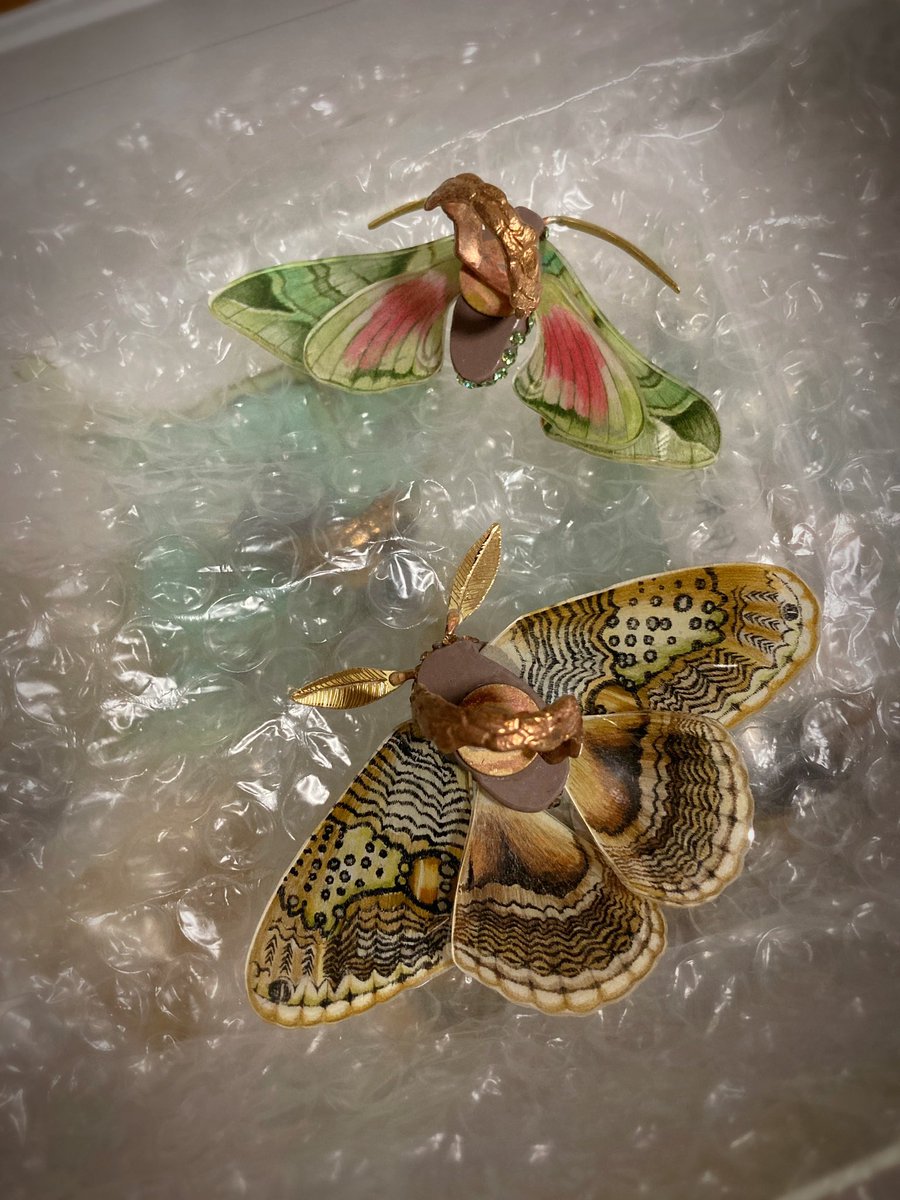 蛾のリング裏側です
重なってる部分もきちんと描き込んでます...φ(´ω｀●)
#博物マニア
名古屋吹上ホール第1ファッション展示場
4/11(土)12(日)10:00~17:00