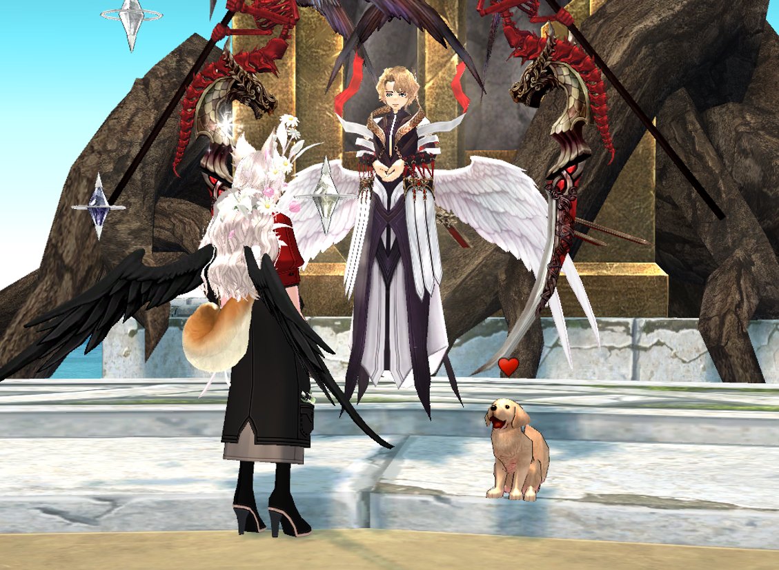 🎀비둘기요정🎀 tweet media