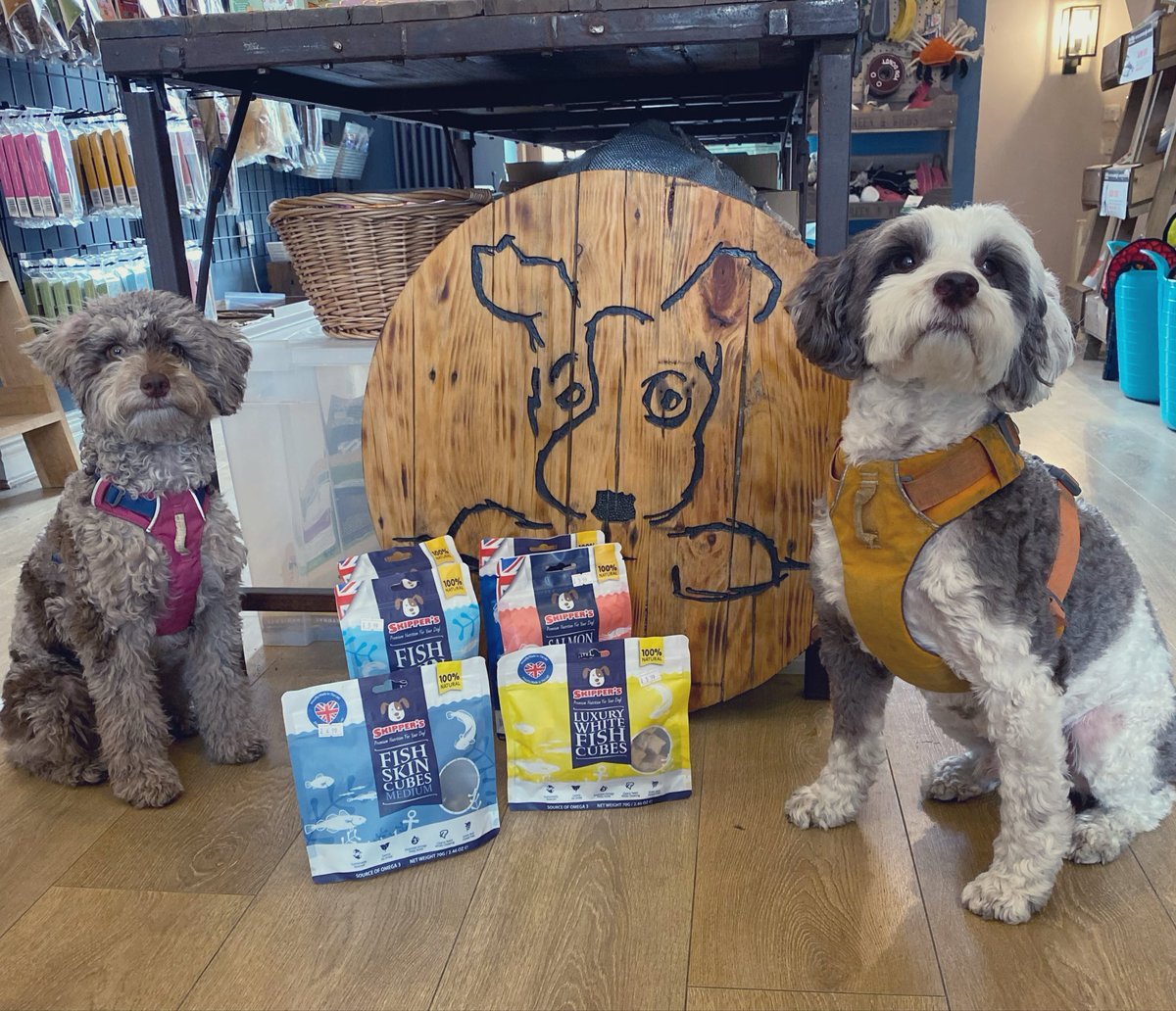 BeMoreBob tweet media