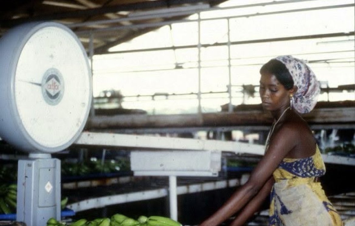 Somali Visuals ☆ tweet media