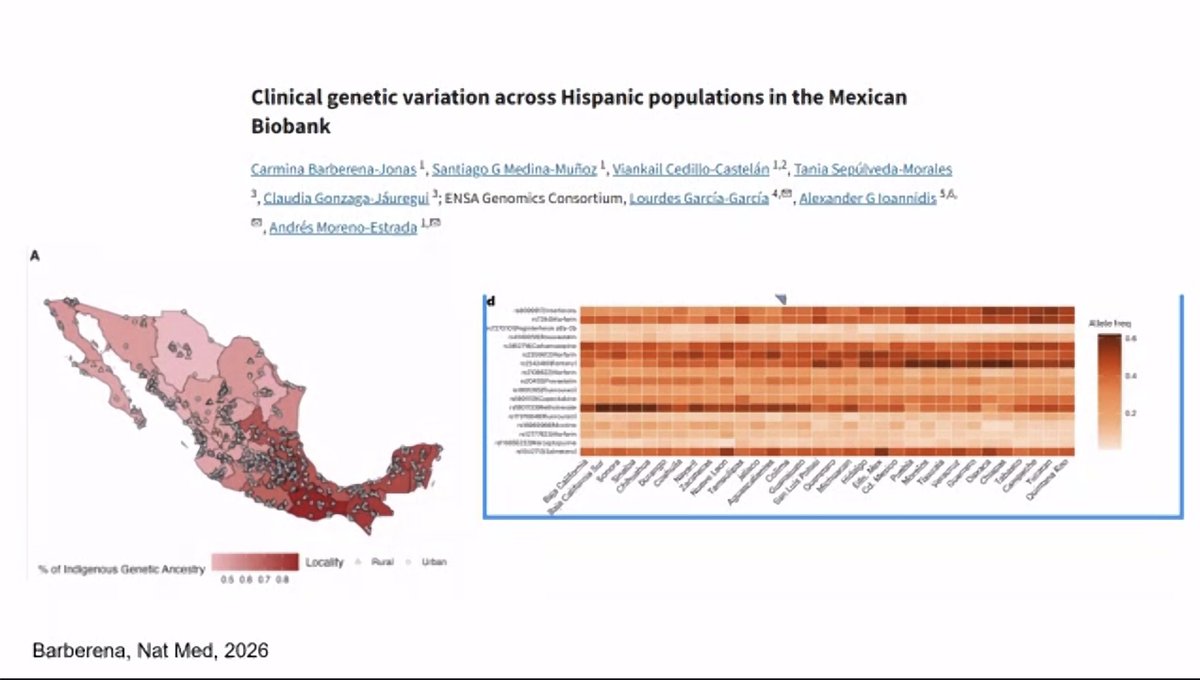 Mafer_ZavalaM's tweet image. Cada vez el nefrólogo se debe de familiarizar más con la genética y conocer nuestra historia como Latinos🧬

La Dra @Nefrontera nos da un gran repaso en las genética de las enfermedades renales crónicas de causa desconocida en Latinoamérica.

@IMINmx
#Nefrología #ERC #Genética