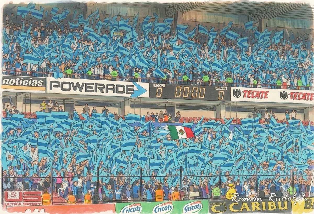 Siempre Gallos 🐦 tweet media