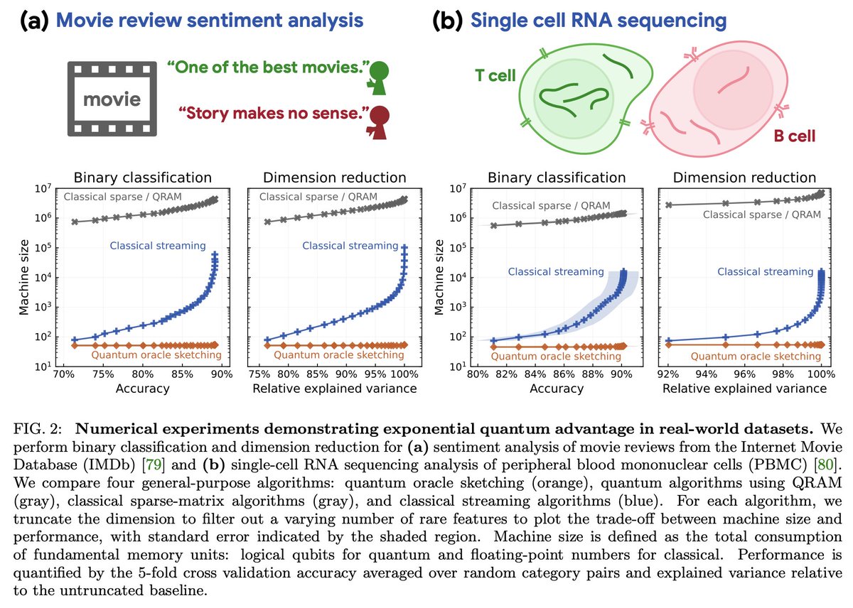 キャルちゃん tweet media